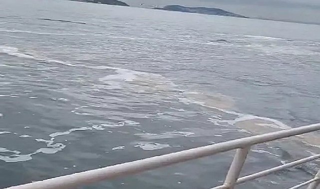 Büyükada'da müsilaj görüldü