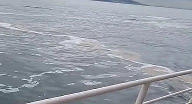 Büyükada'da müsilaj görüldü