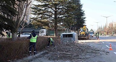 Büyükşehir ekipleri budama çalışmalarına devam ediyor