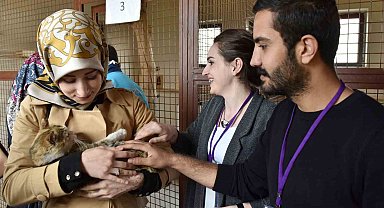 Büyükşehir Hayvan Barınağı'nın kapasitesini artırıyor