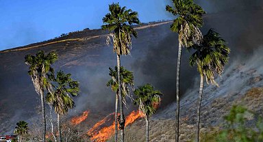 California'da çıkan yeni yangın kontrol altına alındı, 1 kişi gözaltında