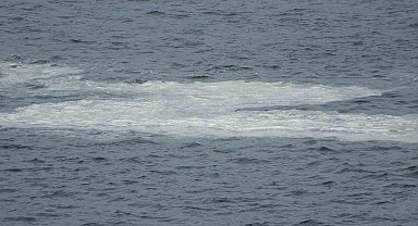 Çanakkale Boğazı'nda müsilaj devam ediyor