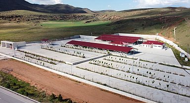 Canlı hayvan pazarının barınağa dönüştürülmesine tepki