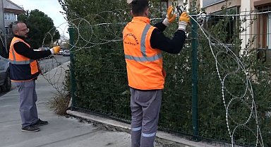 Canlıların hayatına mal olan jiletli teller kaldırılıyor