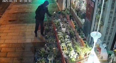 Çiçeklerin azaldığına anlam veremedi, güvenlik kamerasını izleyince hayrete düştü