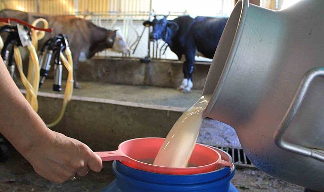 Çiğ süt 17,15 lira oldu, birlikler belirsizlikleri çözmeye çalışıyor