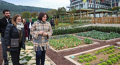 Çocuk Tarım Parkı hizmete açılmaya hazırlanıyor