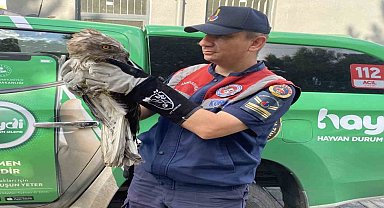 Çorum'da jandarma kaçak avcılara göz açtırmadı