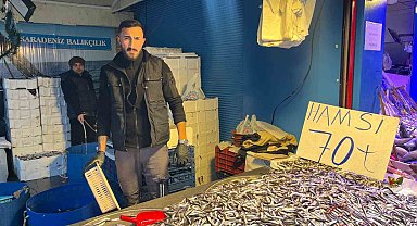 Denizdeki bolluk ve rekabet hamsi fiyatını 70 liraya kadar düşürdü