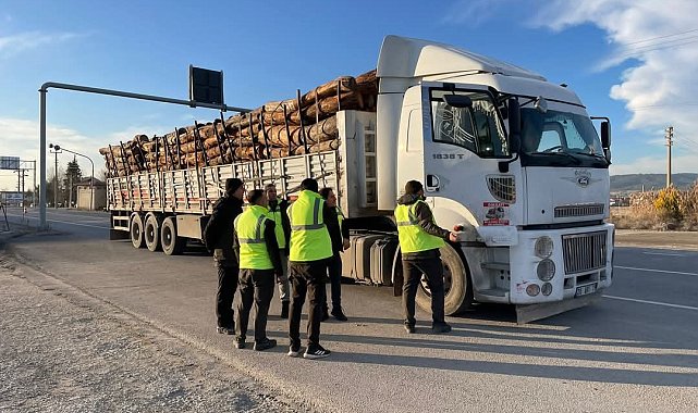 Denizli'de orman kaçakçılığına geçit yok