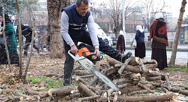 Diyarbakır'da 24 bin 833 ağaç budandı