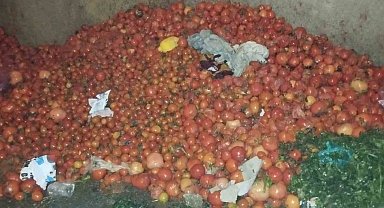 Domatesleri döken pazarcılara tepki