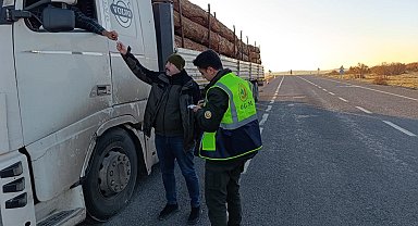 Düzce'de 10 noktada orman emvali kontrolü yapıldı