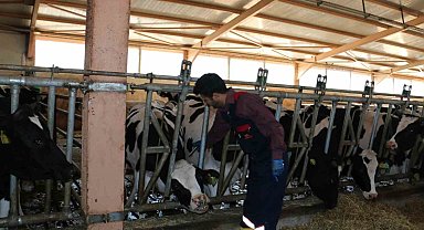 Erzincan'da 2024 yılında 1 milyon 170 bin doz aşılama gerçekleştirildi