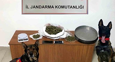 Erzincan'da jandarma ekipleri 2024 yılı Aralık ayında meydana gelen olayların yüzde 98'ini aydınlattı