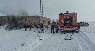 Erzurum'da ahır yangını
