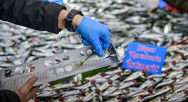 Esenyurt zabıtasından balık tezgahlarında sıkı denetim