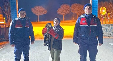 Eskişehir'de yaralı kızıl şahin tedaviye alındı