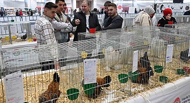 Farklı ırklardan bin 750 kanatlı hayvan ve süs tavuğu Isparta'da