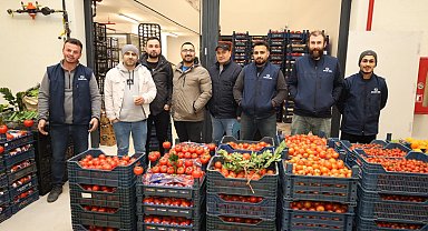 Gebze'de Batı Sebze Meyve Hali faaliyette