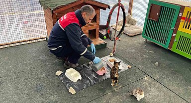 Giresun Belediyesi şehirdeki yemek atıklarını sokak hayvanları için mamaya dönüştürüyor