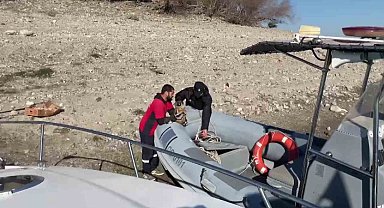 Gölde su yükseldi, mahsur kalan yavru köpekleri polis kurtardı