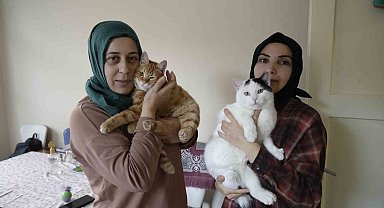 Gümüşhane'de engelli kediler şefkatli ellerle hayata tutunuyor