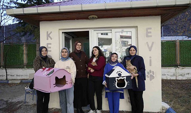 Gümüşhane'de öğrenci yurdunun güvenlik kulübesi kedilere yurt oldu