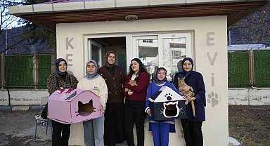 Gümüşhane'de öğrenci yurdunun güvenlik kulübesi kedilere yurt oldu