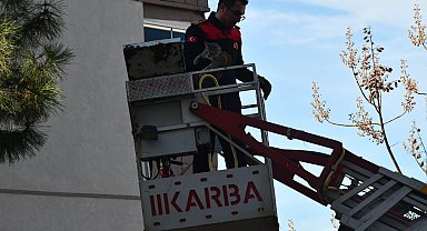 Günlerdir ağaçta mahsur kalan kedi, itfaiyenin çalışmasıyla kurtarıldı