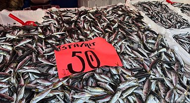 Hamsi ve istavrit yüz güldürdü