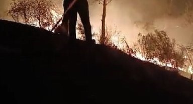 Hatay'da ormanlık alanda çıkan yangın söndürüldü