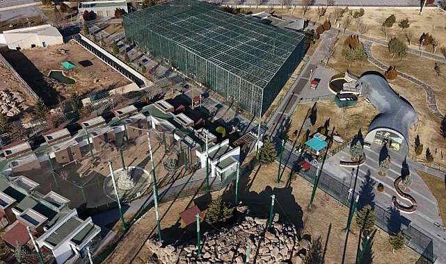 Hayvanat bahçesinde 2024 dolu dolu geçti