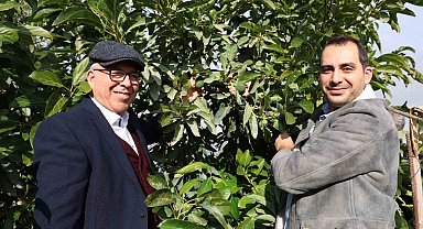 Hukuk profesörü baba ile doktor oğlu ata topraklarında 30 ton avokado üretiyor