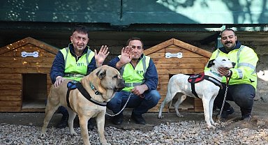 İETT'nin patili dostlar ailesi büyüyor