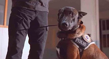 Isparta'nın narkotik kahramanı Milon, üçüncü kez 'ayın köpeği' seçildi