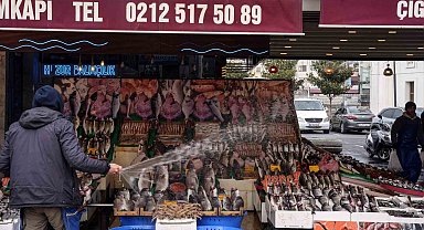 İstanbul'daki balık tezgahları bollaştı ancak alan yok