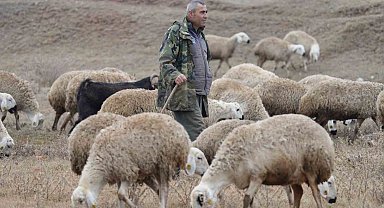 İstanbul'dan kaçtı, köyünde yaptığı hayvancılıkla huzuru buldu: "Şehir hayatı açık cezaevi gibi"