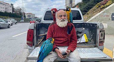 İstanbul'un "Papağanlı Amcası" görenlerin ilgi odağı oluyor