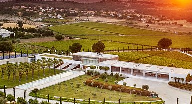 İzmir Urla Bağ Yolu 'yeşil destinasyon'a aday