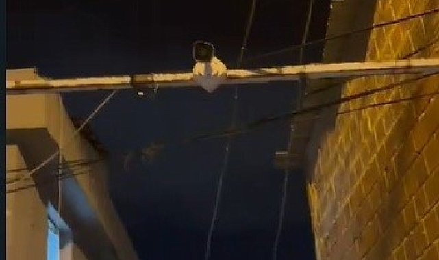 İzmir'de uyuşturucu baskını: Müzisyen, torbacı çıktı