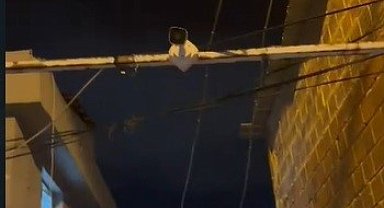 İzmir'de uyuşturucu baskını: Müzisyen, torbacı çıktı