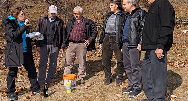 İzmir'de kestane kanseri ile mücadele sürüyor