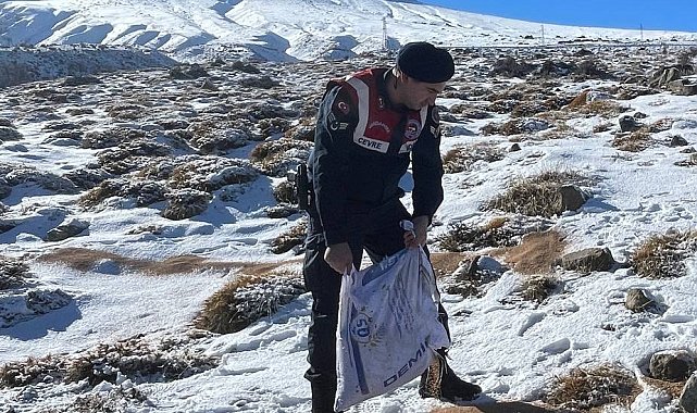 Jandarma ekipleri yaban ve sokak hayvanları için dağlarda