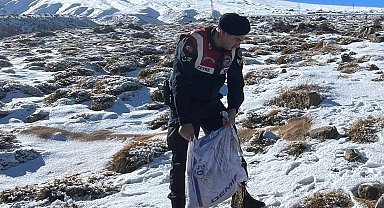 Jandarma ekipleri yaban ve sokak hayvanları için dağlarda