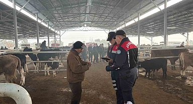 Jandarmadan, hayvan pazarında 'dolandırıcı' denetimi