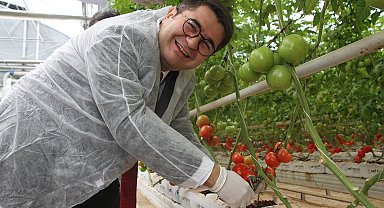 Jeotermal serada yılın ilk hasadı yapıldı