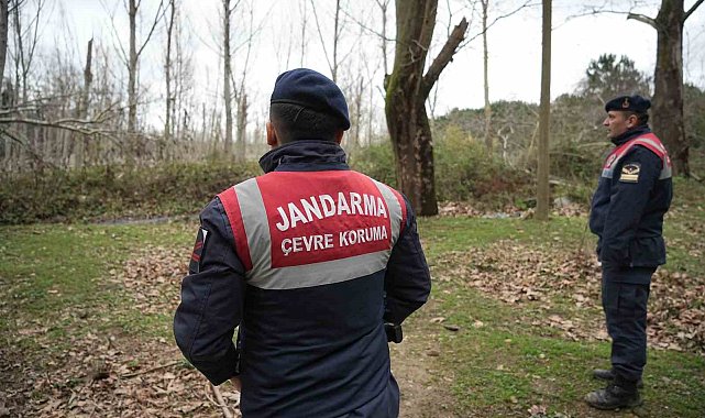 Kaçak ayı 9 gün sonra yakalandı