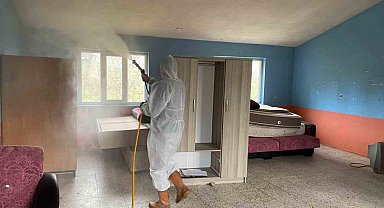 Kahverengi kokarca ile mücadele için her yer ilaçlanıyor