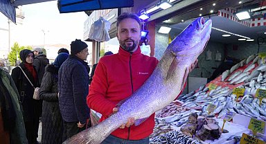 Karadeniz'de 120 santimlik dev minekop avlandı, 6 bin TL'ye satıldı